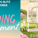 Book Extract: The Wedding Engagement by Zoe Allison