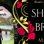 Book Review: The Shadow on the Bridge by Clare Marchant